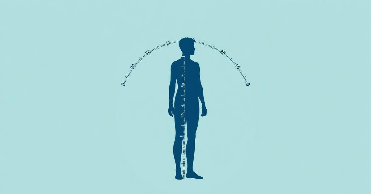 Illustration of a body silhouette with measurement arcs representing BMI